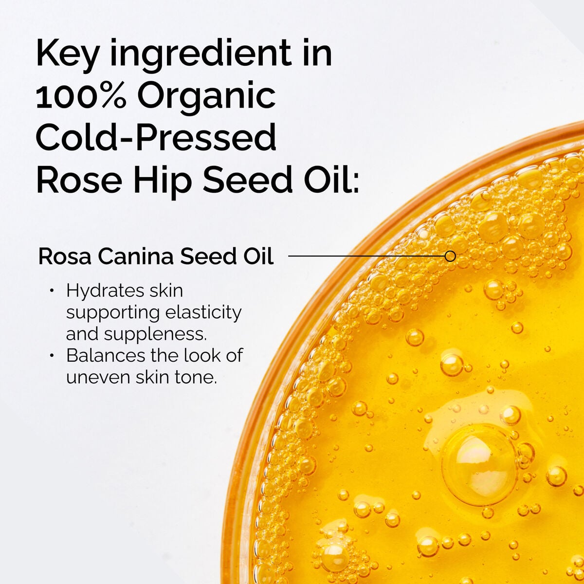 100-organic-cold-pressed-rose-hip-seed-oil-h9 FY25-D41247-ORD-Web-PDP-100-Rose-Hip-Oil-1x1-EN-2.jpg