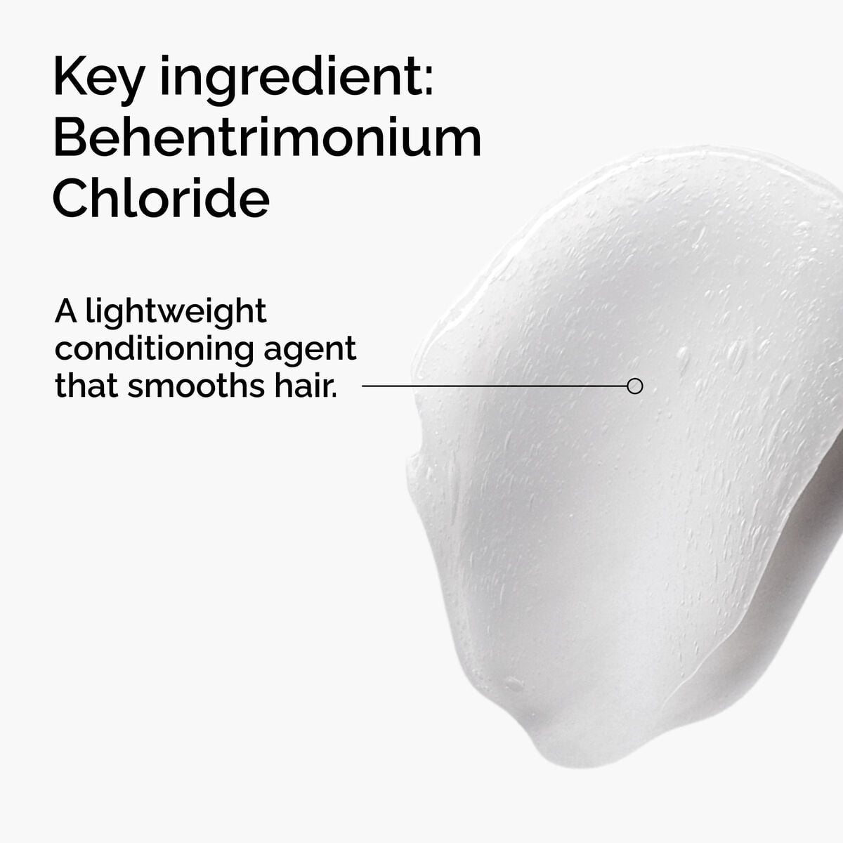 behentrimonium-chloride-2-conditioner-l8 FY25-D41247-ORD-Web-PDP-BTC-1x1-EN-2a.jpg