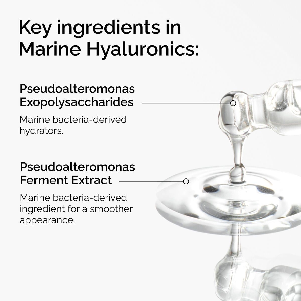 marine-hyaluronics-n3 FY25-D41247-ORD-Web-PDP-Marine-Hya-1x1-EN-2a.jpg