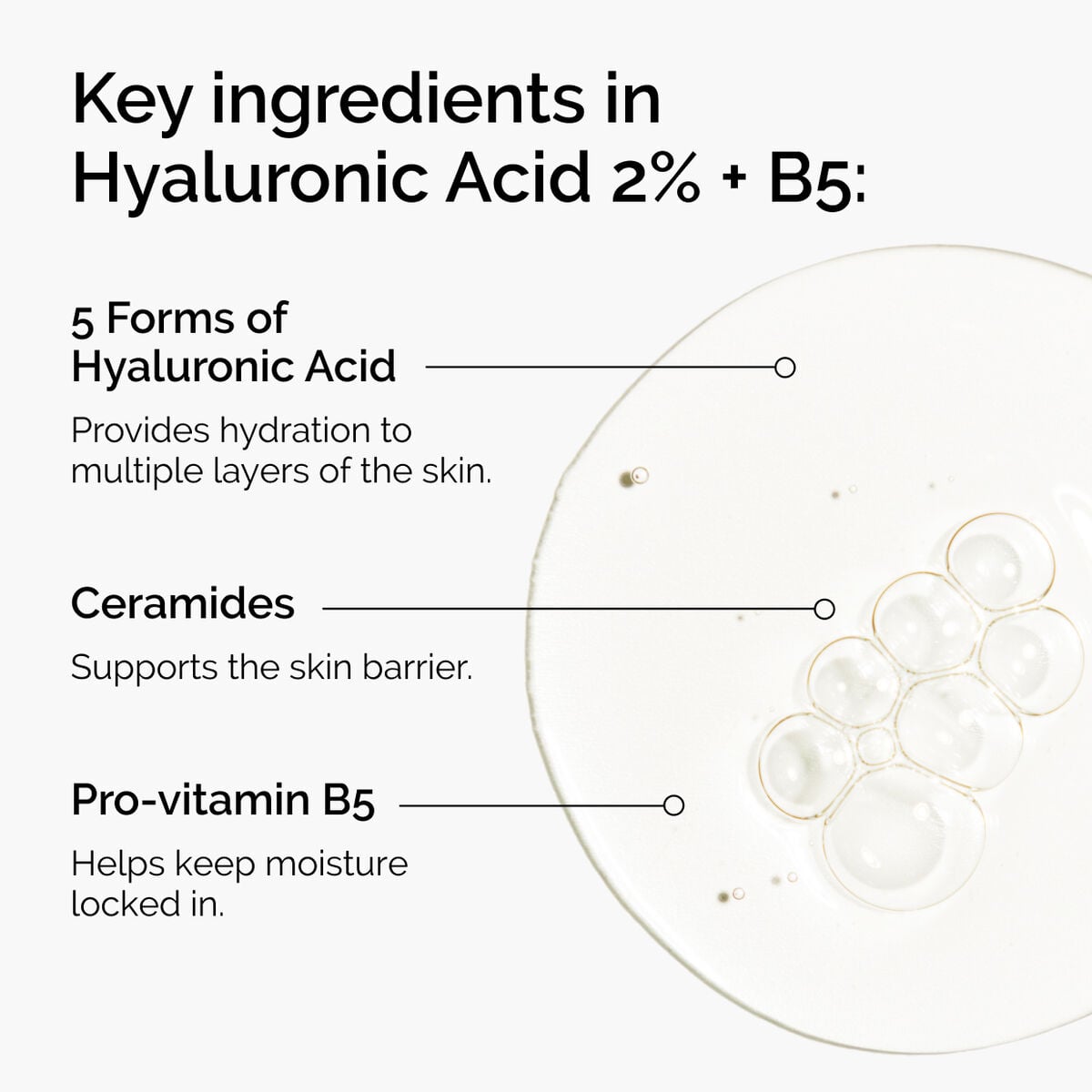 hyaluronic-acid-2-b5-with-ceramides-v8 ord-hyaluronic-acid-2pct-b5-hydrating-serum-ingredients-graphic.jpg